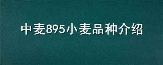 中麦895小麦品种介绍（小麦品种中麦998）