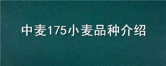 中麦175小麦品种介绍 中麦175小麦种子特点