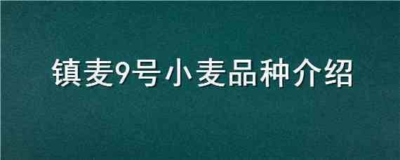 镇麦9号小麦品种介绍