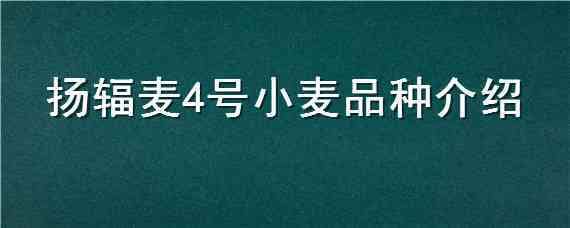 扬辐麦4号小麦品种介绍（扬麦25号品种）