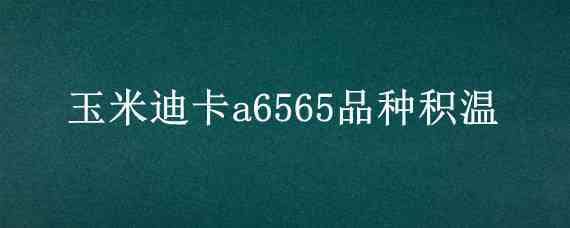 玉米迪卡a6565品种积温（玉米品种迪卡a6565百度百科）