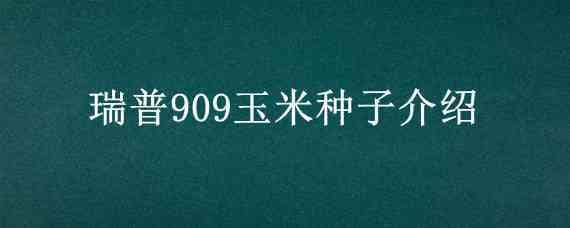 瑞普909玉米种子介绍 瑞普908玉米品种简介