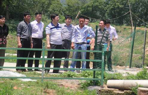 江西上饶市畜牧局指导铅山县生猪标准化养殖工作