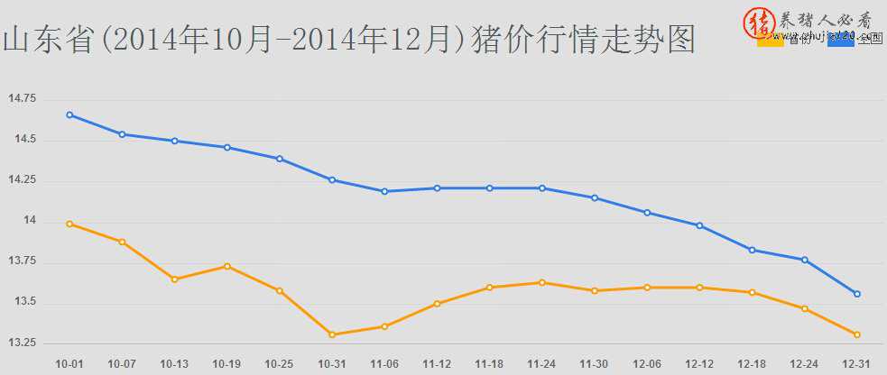 山东省（山东省高校毕业生信息就业网）