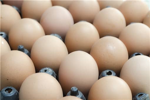 2021全国鸡蛋最新价格行情是怎样的（2021年鸡蛋价格走势）