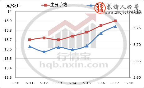 上周猪价行情回顾-震荡上涨 近期猪价行情分析