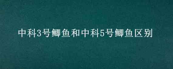 中科3号鲫鱼和中科5号鲫鱼区别