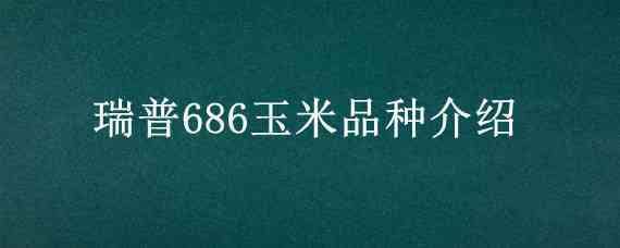 瑞普686玉米品种介绍 瑞普908玉米品种介绍