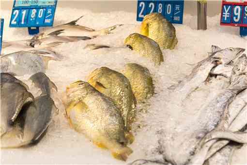 大黄鱼价格多少钱一斤