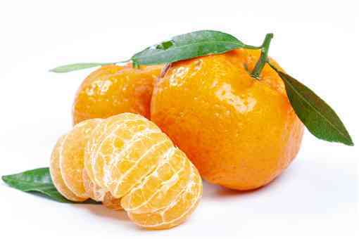砂糖橘为什么叫夺命桔（砂糖橘是什么橘子）