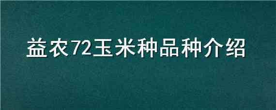 益农72玉米种品种介绍 益农72玉米种多少钱一袋