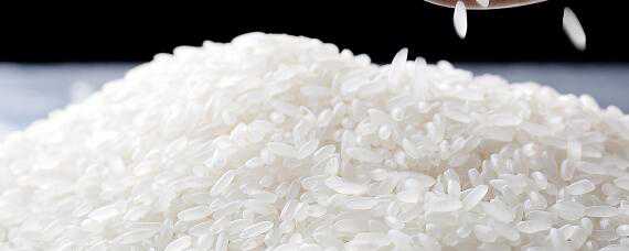 稻米品质指标有哪六个（衡量稻米外观品质的主要指标）