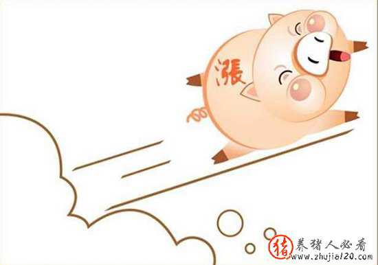 猪价持续上涨！上海，重庆等地已经破8，快看看有没有你们家的？