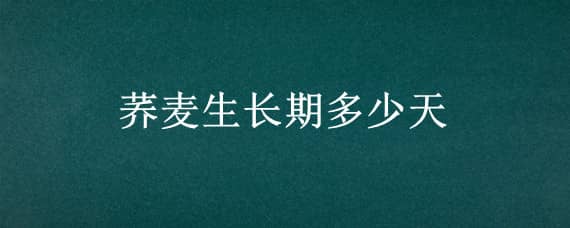 荞麦生长期多少天 荞麦生长期多少天广东