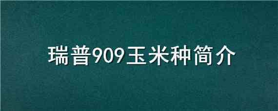 瑞普909玉米种简介