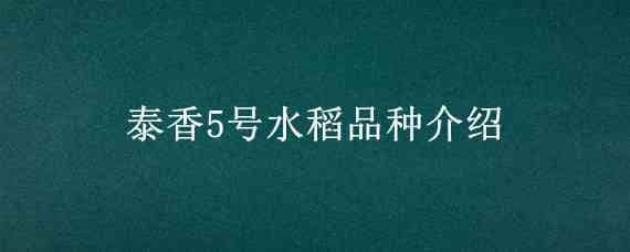 泰香5号水稻品种介绍（泰香水稻品种有哪些）