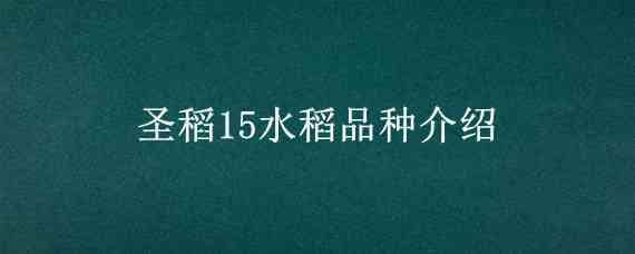 圣稻15水稻品种介绍 圣稻16品种简介