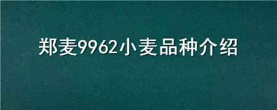 郑麦9962小麦品种介绍（郑麦6694小麦品种介绍）