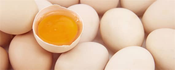 鸡蛋壳是什么肥料 鸡蛋壳是什么肥料?