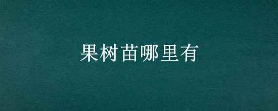 果树苗哪里有 果树苗哪里有大的