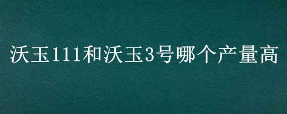 沃玉111和沃玉3号哪个产量高（沃玉111和沃玉3号的对比）