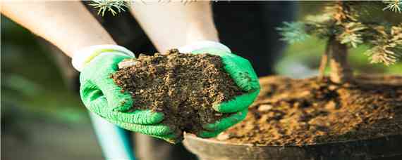 硼肥是什么肥料 硼肥属于什么肥料