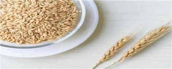 辛硫磷拌小麦种子怎样用（辛硫磷拌麦种怎么用）