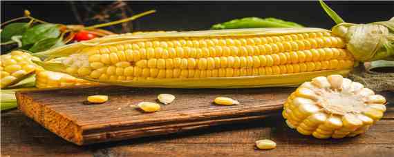 沃玉21玉米品种