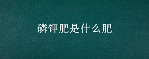 磷钾肥是什么肥（有机磷钾肥是什么肥）