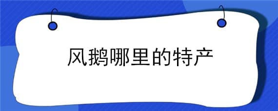 风鹅哪里的特产