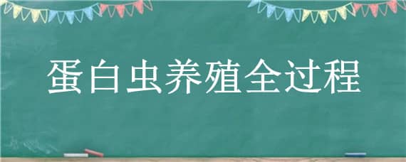 蛋白虫养殖全过程（蛋白虫的养殖相关资料）