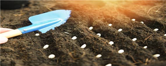 厨余垃圾堆肥后可以作为肥料滋养土壤吗