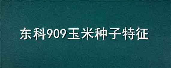 东科909玉米种子特征 东科909玉米种子简介