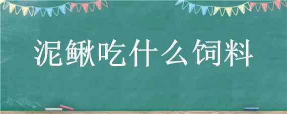 泥鳅吃什么饲料 泥鳅吃什么饲料是什么名