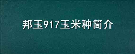 邦玉917玉米种简介 邦玉917玉米种子介绍