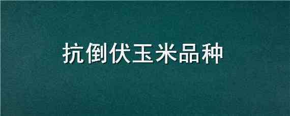 抗倒伏玉米品种（高抗倒伏玉米新品种）