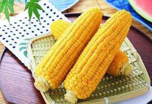 吃玉米的好处和坏处 玉米的功效和作用
