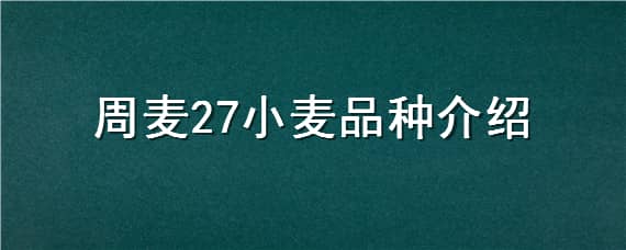 周麦27小麦品种介绍（周麦27小麦品种怎么样）