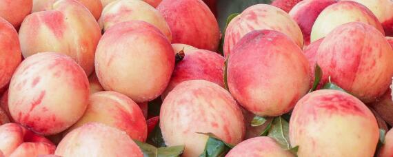 南汇水蜜桃几月份上市 南汇水蜜桃几月份上市的桃子最好吃