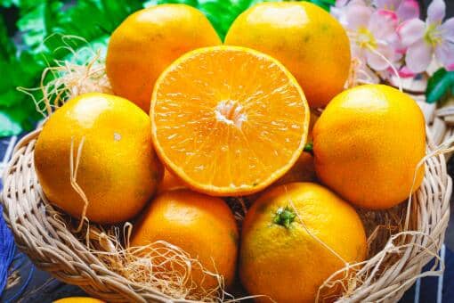 橙子是什么水果杂交出来的