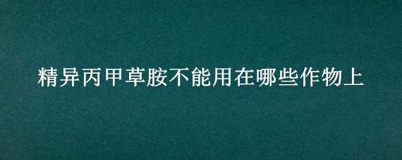 精异丙甲草胺不能用在哪些作物上