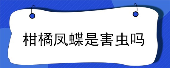 柑橘凤蝶是害虫吗 柑橘凤蝶幼虫是害虫吗