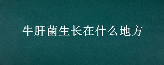 牛肝菌生长在什么地方（野生牛肝菌生长在什么环境）