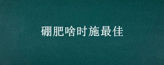 硼肥啥时施最佳 玉米用硼肥啥时施最佳