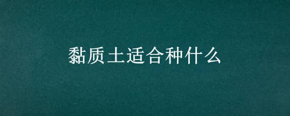 黏质土适合种什么（黏质土适合种什么植物）