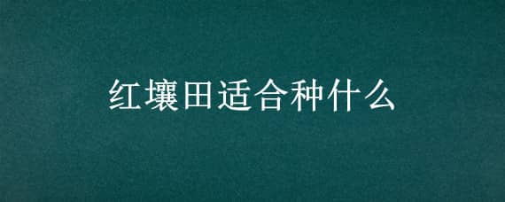 红壤田适合种什么 红土壤适合种什么