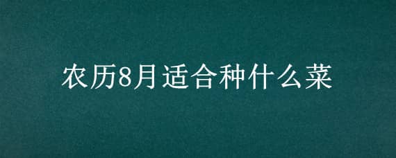 农历8月适合种什么菜