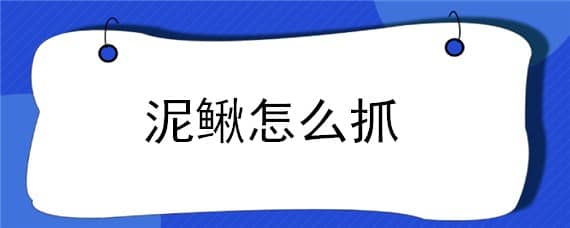 泥鳅怎么抓 泥鳅怎么抓的陷阱