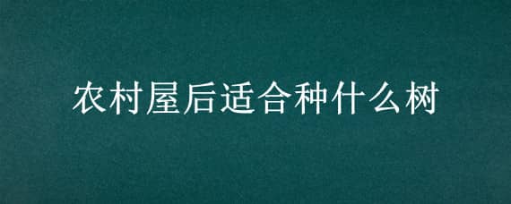 农村屋后适合种什么树（农村房屋后种什么树好）