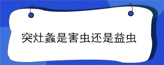 突灶螽是害虫还是益虫（灶鸡虫是害虫还是益虫）